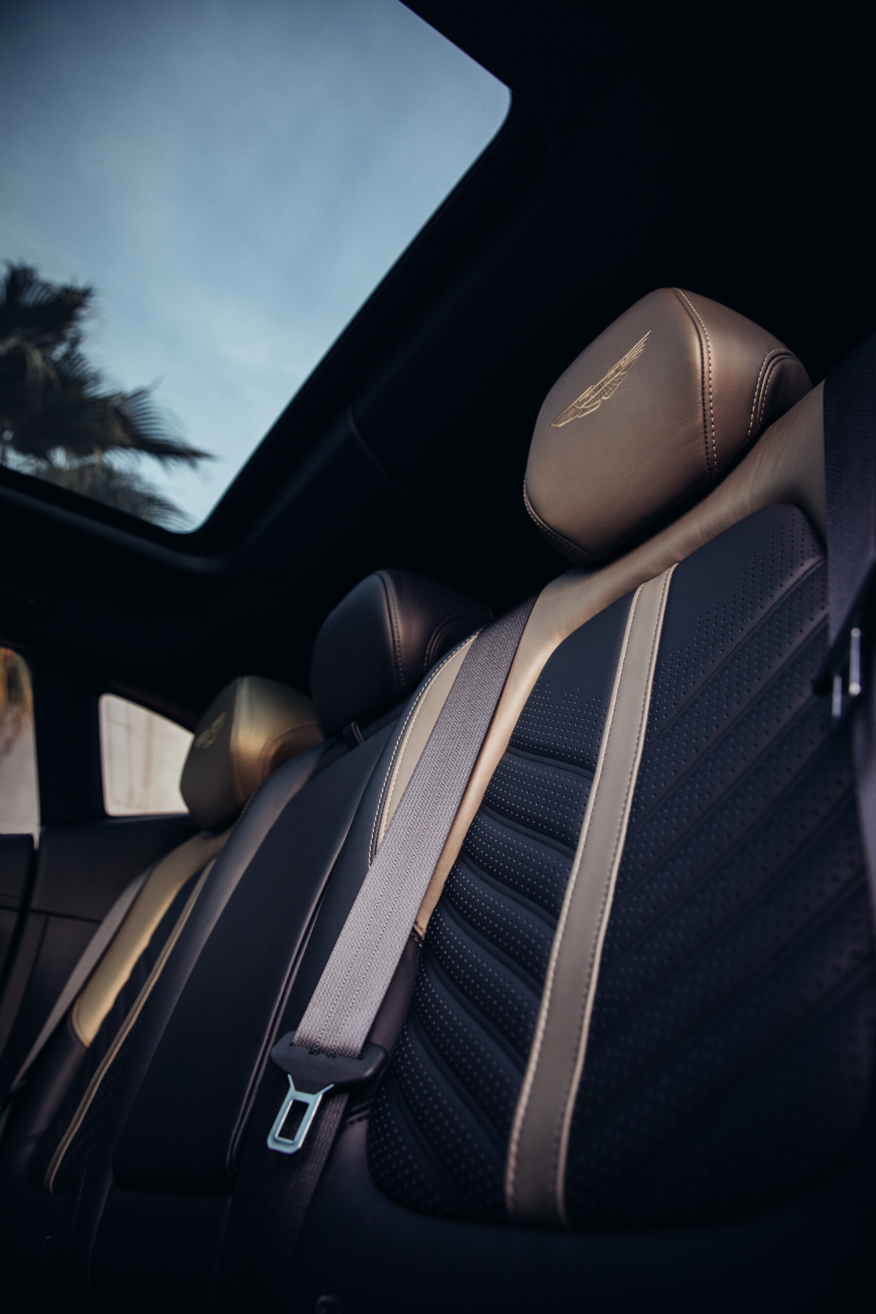 intern about Aston Martin DBX707